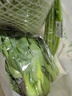 【24小时菜】大芹菜约400g 实拍图