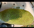 京鲜生 海南菠萝蜜 20-25斤 净重20斤+  生鲜水果 源头直发 实拍图