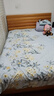 百丽丝水星家纺出品床上四件套纯棉100%全棉四件套床品被套床单套件1.5m床 实拍图