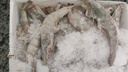 沃鲜汇 大虾海虾厄瓜多尔白虾南美对虾大青虾海鲜水产进口鲜活速冻生鲜 20/30规格 1.65kg(净重)  盐冻款【净重3.3斤 只只分离】 实拍图