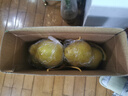 趣觅鲜正宗容县沙田柚产地直发广西特产纯甜无酸老树白肉柚子新鲜水果 12斤净重大果5-6个礼盒装 实拍图