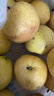 樱慕晴【JD地标认证】正宗辽宁鞍山南果梨东北特产南国梨香水梨新鲜水果 【普装特大果黄梨】约20枚 4.5斤 实拍图