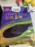 十月稻田 黑糯玉米 3.52斤(220g*8根) 东北玉米 杂粮粗粮 低脂早餐 实拍图