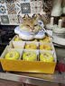 尾巴生活莓莓流心罐猫咪主食罐头 成猫幼猫营养主食湿粮罐 口味随机单罐装 实拍图