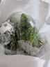 云南味浓香菜100g 实拍图