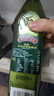 伯爵（BORGES）【保真橄榄油】西班牙原瓶进口 特级初榨橄榄油750ml  食用油送礼 实拍图