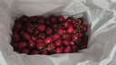 沐小七果蔬 智利进口车厘子樱桃礼盒装【JD速运-多地次日达】大樱桃送礼水果 5斤(净重) （家庭装）分享礼盒 【黑钻级】超级果王 4J 32-34mm 推荐* 实拍图