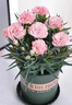 沭之美康乃馨盆栽母亲节礼物观花植物桌面绿植粉色+0.5加仑盆 源头直发 实拍图