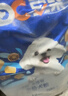 豆柴（docile）经典缤纷多维鲜冻干全价狗粮成犬幼犬小型犬犬粮比熊泰迪狗粮8kg 实拍图