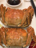 海速达 舟山新鲜梭子蟹块 净重550g(12-16块) 切蟹 急冻锁鲜野生当季海捕飞蟹白螃蟹生鲜水产 实拍图