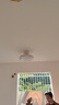 雷士（NVC）枕边风风扇灯吊扇北欧餐厅卧室全光谱1级能效三防一体36瓦包安装 实拍图