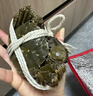【活蟹】漁家师傅大闸蟹全母3.0-3.3两8只去绳足重鲜活螃蟹现货生鲜年货礼盒 源头直发 实拍图