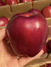 味果生甘肃天水花牛苹果应季新鲜水果刮泥粉面宝宝辅食蛇苹果整箱送礼 9斤大果【80-85mm】净重8.5斤 实拍图