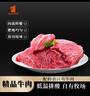 宾西 国产原切牛肉1斤 精选瘦肉 冷冻大块牛肉 生鲜牛肉 实拍图