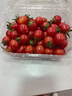 千禧圣女果新鲜小番茄樱桃小柿子孕妇水果现摘现发新鲜蔬菜 新鲜圣女果净重 1斤 带箱 实拍图