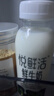悦鲜活 鲜牛奶  260ml*5瓶 高钙巴氏杀菌乳 生鲜 低温奶 实拍图