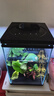 森森（SUNSUN）智能生态鱼缸一体自循环超白玻璃桌面鱼缸SM20-A  实拍图