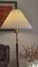Paulmann P德国柏曼落地灯Yves 暖光灯客厅卧室氛围胡桃木杆复古立式灯具 实拍图