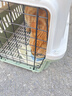 腆宠  宠物航空箱小号 猫咪航空箱猫狗 猫包猫笼外出车载猫箱狗狗托运 实拍图