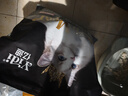 亿迪猫粮冻干幼猫成猫10斤全价英短蓝猫布偶老年猫国产通用全阶段5kg 实拍图