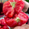 （现摘顺丰发）普罗旺斯西红柿 陕西泾阳生吃沙瓤西红柿农家自种时令生鲜 水果 5斤装（净重4.5-5斤）（普罗旺斯西红柿） 晒单实拍图