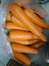 京地达山东水洗胡萝卜净重5斤单果80g+脆甜多汁源头直发包邮 实拍图