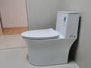 恒洁（HEGII） 马桶 虹吸式家用 坐便器 包安装节水防臭家用马桶超旋风大冲力 S弧无棱内壁新品568D 305/300mm 实拍图