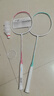红双喜（DHS）羽毛球拍对拍套装含球训练比赛成人儿童学生防磨羽拍2支双拍 实拍图