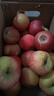 京鲜生 塞外红 阿克苏苹果礼盒 净重10斤 果径85mm  单果230g起 实拍图