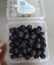 怡颗莓Driscoll's云南蓝莓14mm+ 4盒装 约125g/盒 新鲜年货水果 实拍图