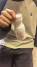 法太爱高乳钙咀嚼片孕妇孕早中晚期产后哺乳期女士儿童青少年钙片赠D3K2 60片*5盒 【送5盒维生素DK】 实拍图
