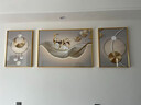 诗六艺家饰客厅装饰画北欧现代简约沙发背景墙挂画三联画大气轻奢壁画晶瓷画 羽鹿生辉（铝合金外框） 晶瓷画左右50*70+中间100*70亮面 实拍图