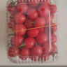 新鲜采摘圣女果樱桃小番茄蔬菜 带箱2斤精选果 实拍图