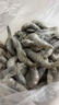 东上御品虾 青岛大虾基围虾鲜活青虾白虾海虾对虾冰虾冻虾生鲜 虾类 海鲜 3斤(净重)  气冻大虾【活虾速冻】 15-18cm【单只超大虾】 实拍图