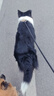 迪普尔 可调节护脚踝脚腕脚脖子保暖加绒加厚男女士骑车防寒神器保护套 实拍图