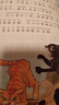 学而思 猫武士美绘注音版第一辑 奇幻动物小说故事小学生一二年级阅读课外书必读书籍 全6册 实拍图