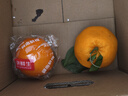 京鲜生 赣南脐橙 净重10斤 铂金果 单果180g起 生鲜水果橙子礼盒  实拍图
