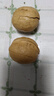 思宏手剥烤核桃新疆薄皮核桃新货坚果炒货纸皮核桃休闲食品 草本味手剥烤核桃1000g袋装1000g1袋 实拍图