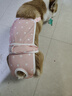 智宙狗狗生理裤母狗姨妈月经期安全裤柯基用品宠物内裤中小型犬防孕 XL 码【19-28斤内的毛孩子】 实拍图