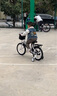 永久（FOREVER）儿童自行车宝宝脚踏车儿童折叠自行车3-8岁童车16寸一体轮 实拍图