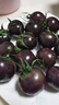 京鲜生 山东寿光黑珍珠小番茄净重2.8斤装 新鲜蔬菜紫色圣女果 源头直发 实拍图