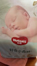 好奇（Huggies）心钻装小森林纸尿裤NB66片(5kg以下)新生儿小号尿不湿夏季超薄 实拍图