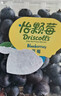 怡颗莓Driscoll's当季新鲜云南蓝莓14mm+ 4盒装 约125g/盒 京东超市水果 实拍图