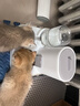 疯狂的主人自动喂食器猫碗猫咪饮水机猫狗食盆大容量饮水一体自动出粮猫狗碗 实拍图