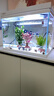 森森（SUNSUN）超白鱼缸一体缸自循环客厅水族箱桌面家用懒人免换水小型金鱼缸 超白HEJ380标配 带滤材+棉 实拍图