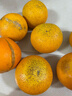 天乐优选麻阳冰糖橙新鲜橙子水果当季整箱果冻甜橙手剥橙子爆汁应季时令 带箱5斤单果70-75mm净重4.5斤 实拍图