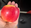 乐淇（ROCKIT）进口火箭筒苹果 5粒超大筒装 单筒465g起 生鲜 新鲜水果 实拍图