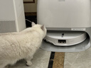 石头（roborock）扫地机器人 P20 Ultra Plus 扫拖洗烘一体机 自动集尘热水洗拖布擦地拖地洗地机吸尘器 A2250RR 实拍图