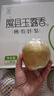 隰县玉露香梨 【顺丰现货】整箱香梨当季水果山西隰县小西天特产 孕妇水果送礼 12粒特大果（净重约9斤）90+mm 实拍图
