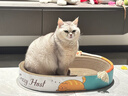 疯狂的主人猫抓板窝巨无霸猫玩具猫爪板猫抓盆不掉屑猫窝碗形圆形瓦楞纸 实拍图